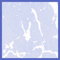 Blue Marble